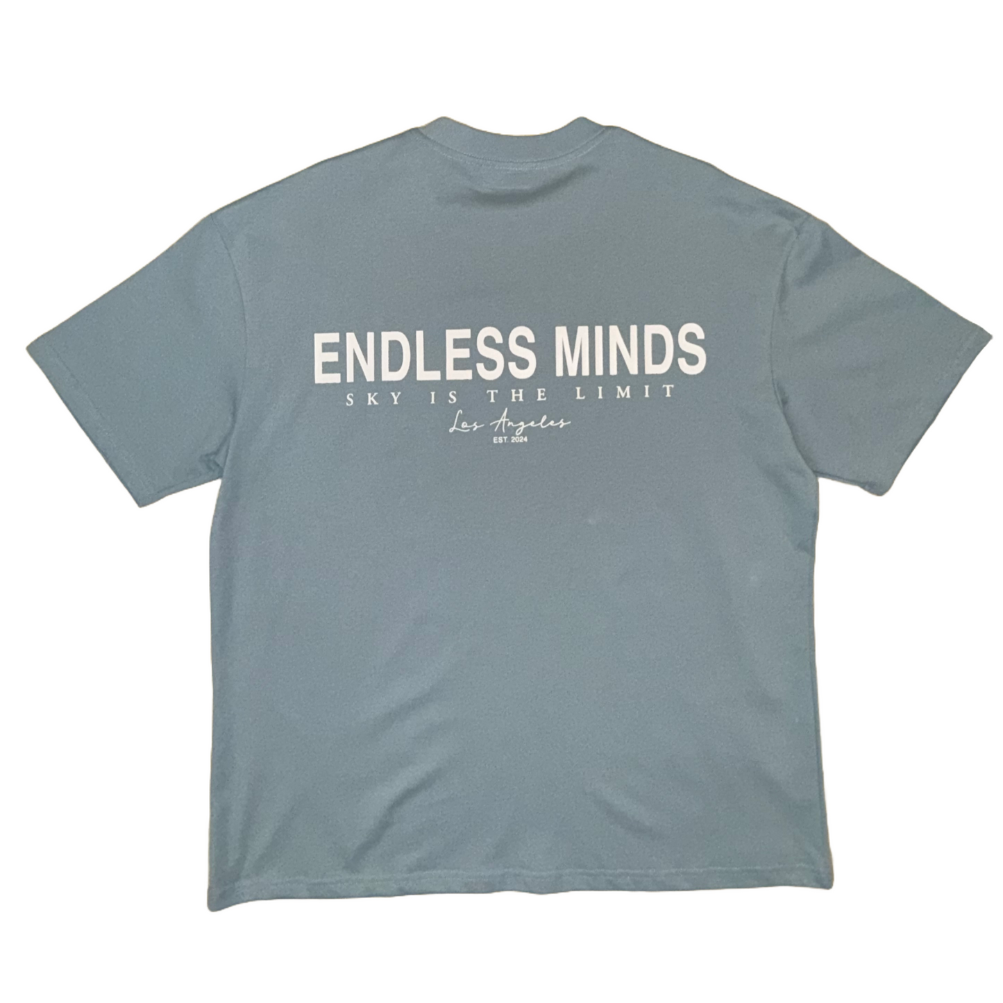 Endless Minds Oversized Tee