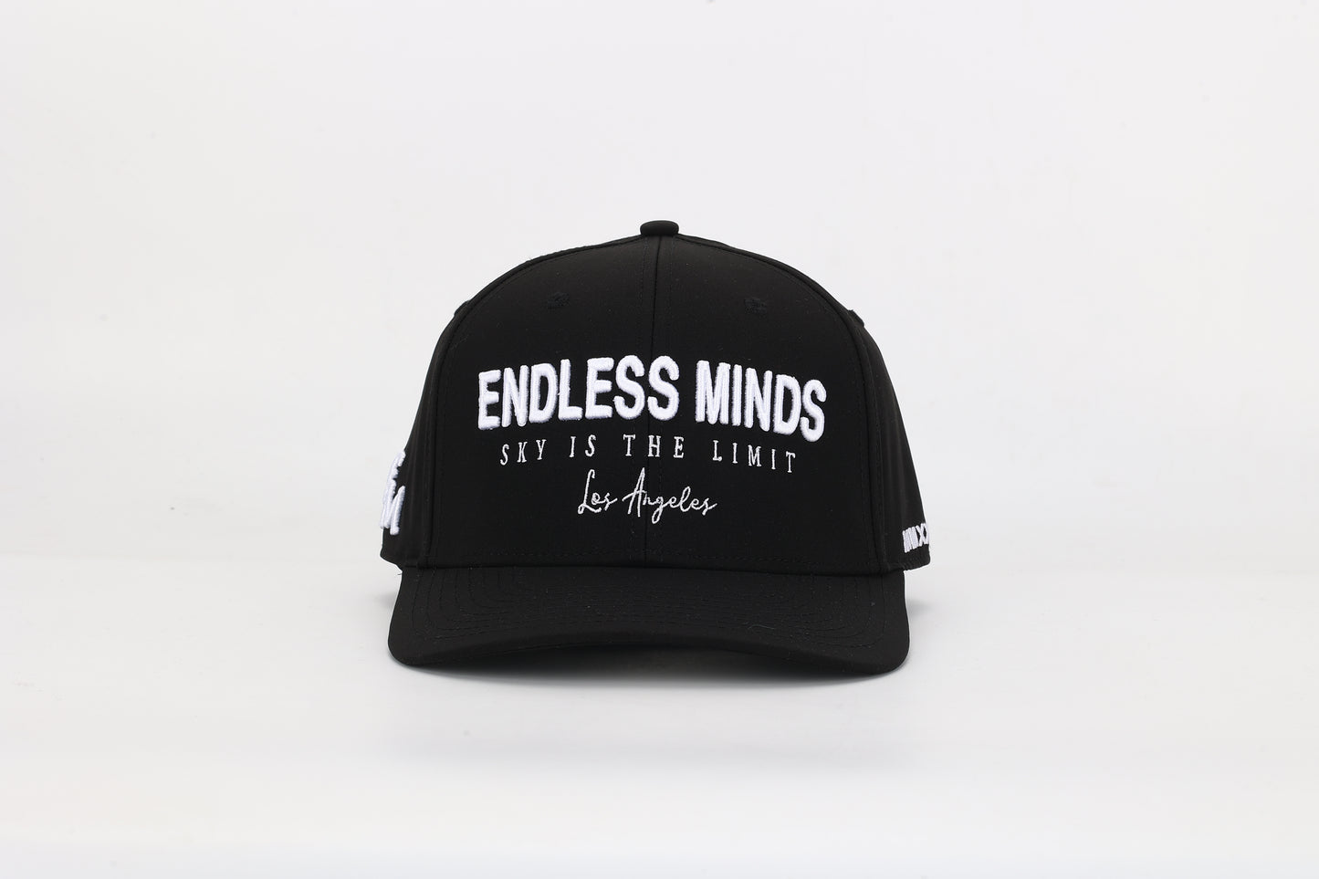 Endless Minds SnapBack