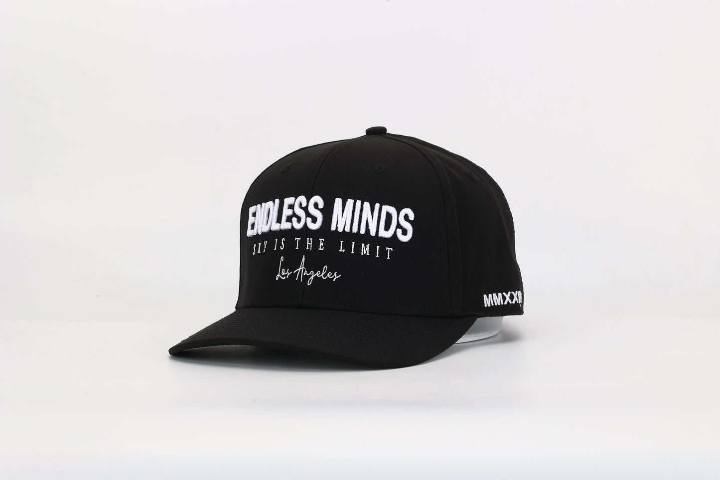 Endless Minds SnapBack